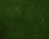 Замша искусственная двухсторонняя арт.КЛ.23738 20х30см, зеленый уп.2листа купить в Ростове-на-Дону