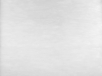 Мех искуственный "Игрушка" Ш-150 см И-31 белый пр-во Беларусь 90-31-И купить в Ростове-на-Дону