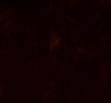 Замша искусственная двухсторонняя арт.КЛ.21884 20х30см, т.коричневый уп.2листа купить в Ростове-на-Дону